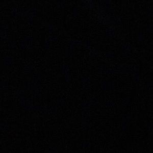 Meet your Posher, Ant